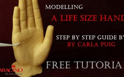 MODELLING A LIFE SIZE HAND