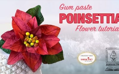 POINSETTIA TUTORIAL