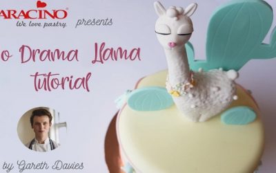 NO DRAMA LlAMA