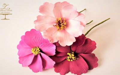 COSMOS FLOWER