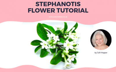 STEPHANOTIS FLOWER TUTORIAL