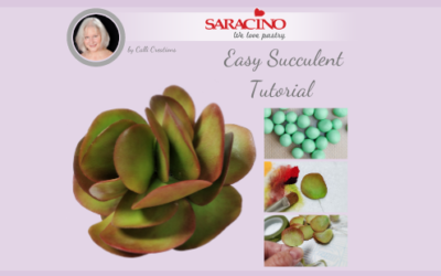 SUGAR SUCCULENT TUTORIAL