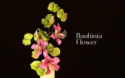 BAUHINIA FLOWER TUTORIAL