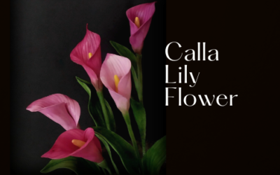 CALLA LILY FLOWER TUTORIAL