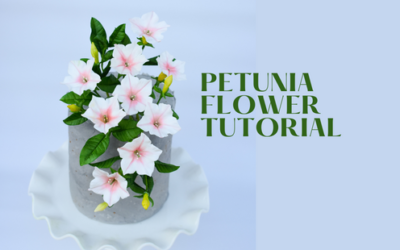 PETUNIA FLOWER TUTORIAL