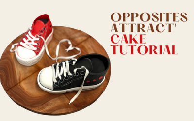 ‘OPPOSITS ATTRACT’  CAKE & MODELLING TUTORIAL