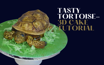 HOW TO: MAKE A TORTOISE LOOKING CAKE