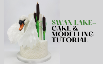 HOW TO: MAKE SWAN LAKE CAKE