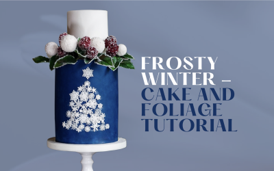 HOW TO: MAKE ELEGANT FROSTY WINTER CAKE